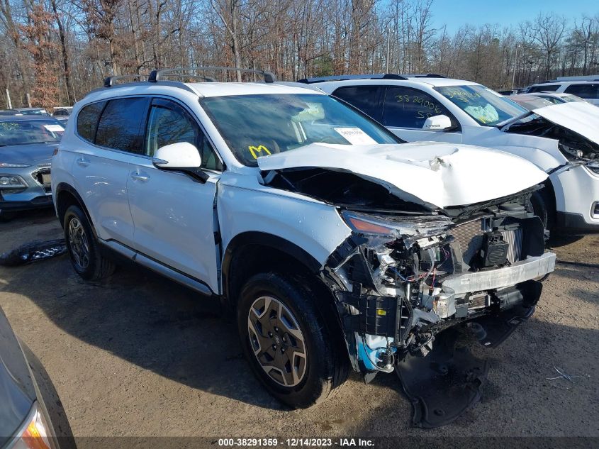 KM8S2DA12MU013666 HYUNDAI SANTA FE HYBRID BLUE 2021