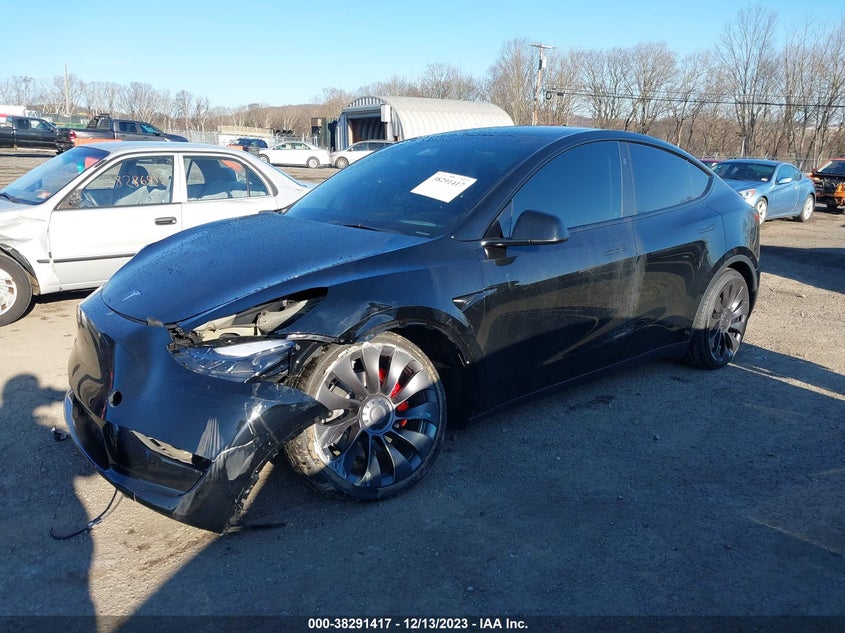 2023 TESLA MODEL Y U   U(VIN: 7SAYGDEF5PF885491