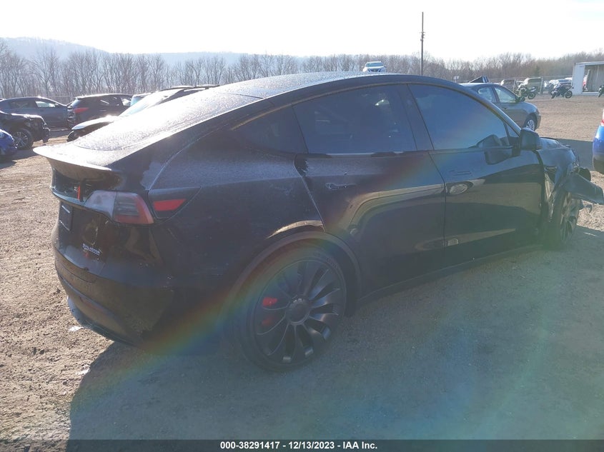 2023 TESLA MODEL Y U   U(VIN: 7SAYGDEF5PF885491