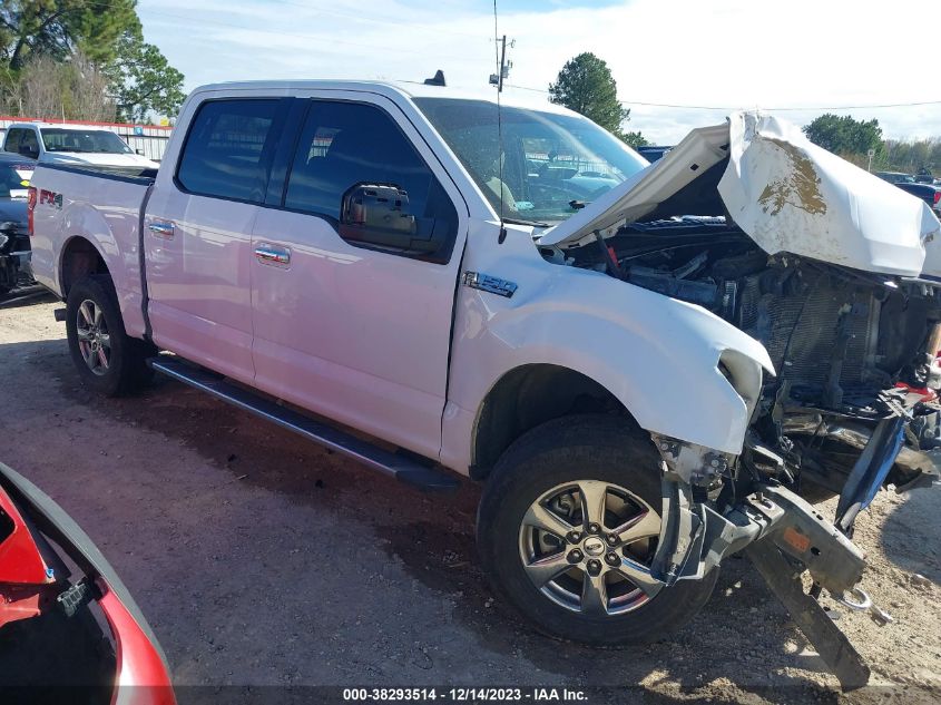 2020 FORD F-150 XLT - 1FTEW1E52LKE69257