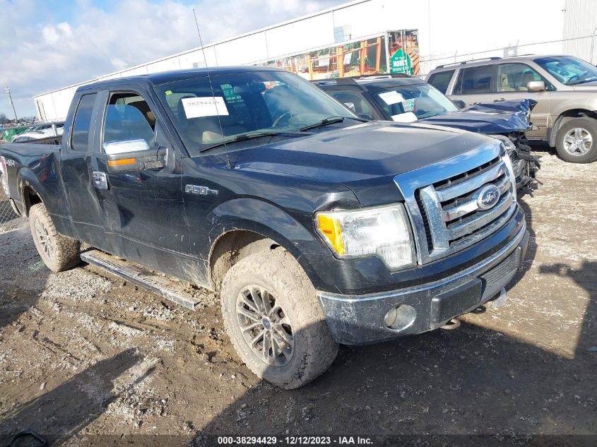 1FTEX1E87AFA76139 | 2010 FORD F-150