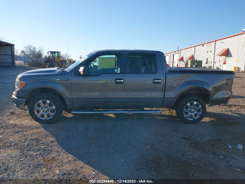 2013 FORD F-150 XLT - 1FTFW1CF9DKF24353