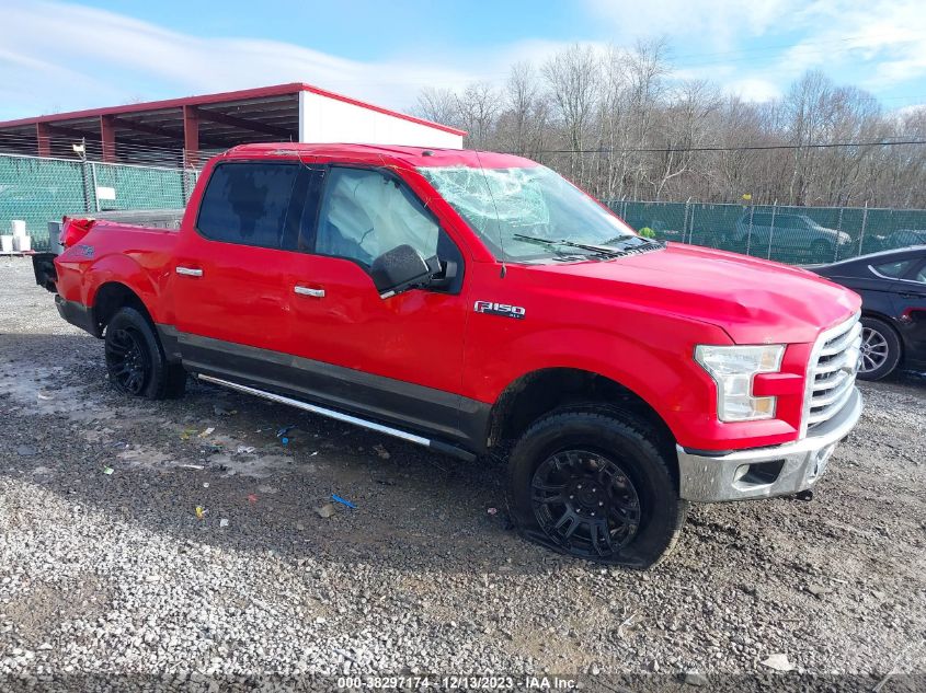 2015 FORD F-150 XLT - 1FTEW1EF0FFA36204