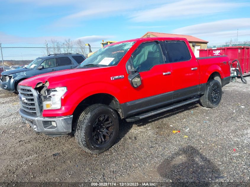 2015 FORD F-150 XLT - 1FTEW1EF0FFA36204