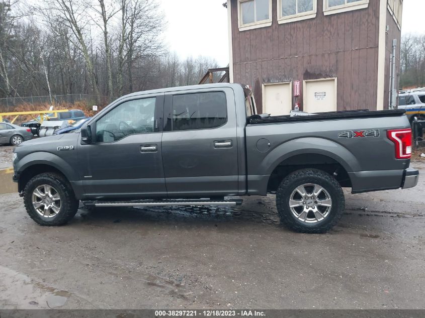 2017 FORD F-150 XLT - 1FTEW1EG1HFC07005