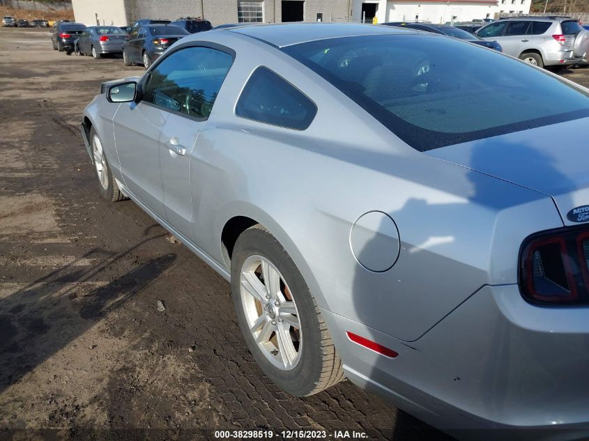 2013 FORD MUSTANG - 1ZVBP8AM6D5246884