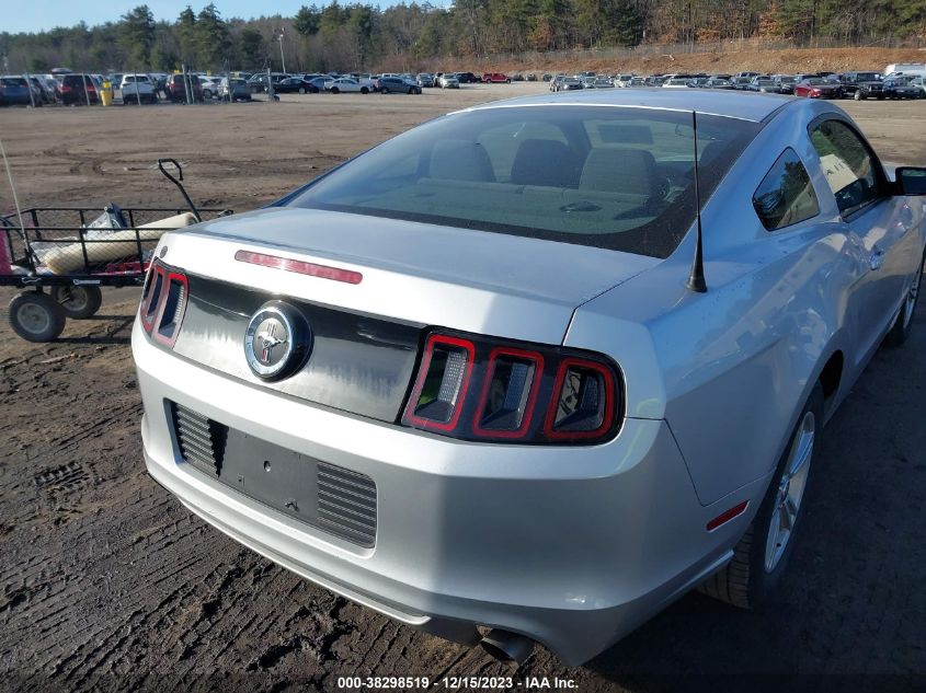 2013 FORD MUSTANG - 1ZVBP8AM6D5246884