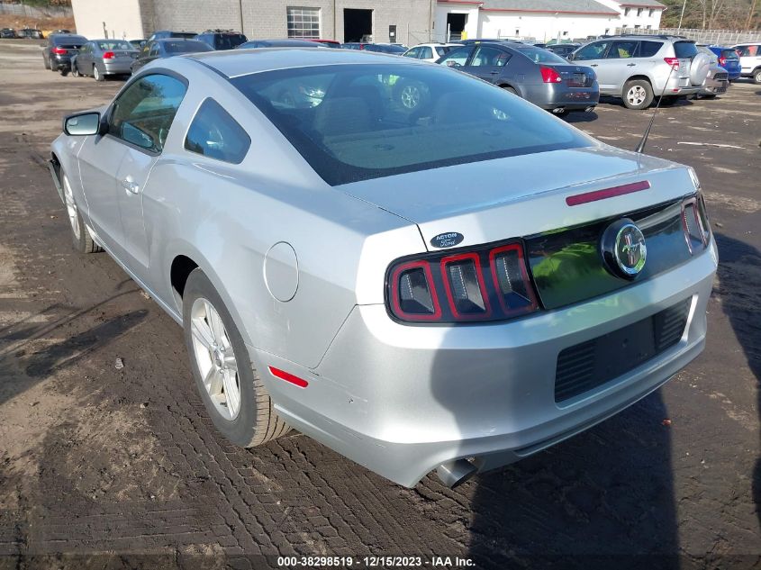 2013 FORD MUSTANG - 1ZVBP8AM6D5246884