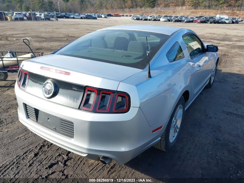 2013 FORD MUSTANG - 1ZVBP8AM6D5246884