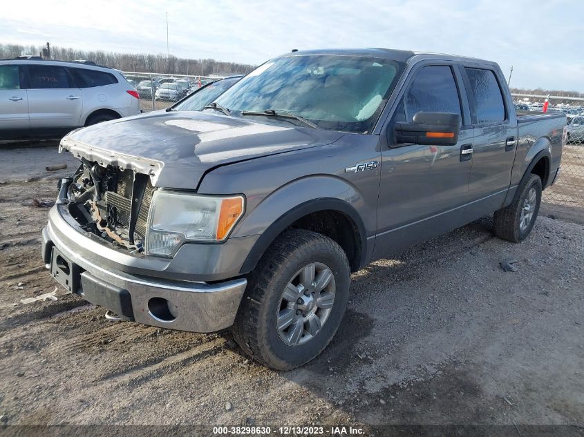 1FTEW1E81AFA66452 | 2010 FORD F-150