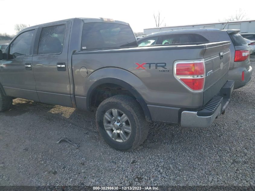 1FTEW1E81AFA66452 | 2010 FORD F-150