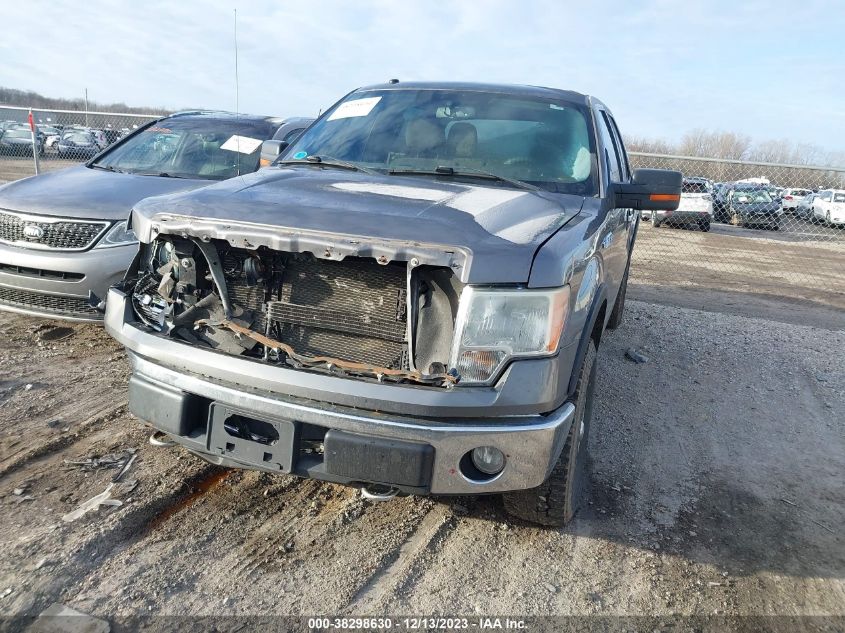 1FTEW1E81AFA66452 | 2010 FORD F-150