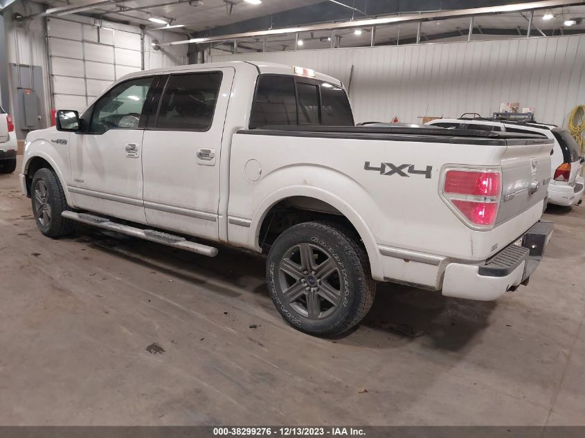 2014 FORD F-150 PLATINUM - 1FTFW1ET1EFB47272