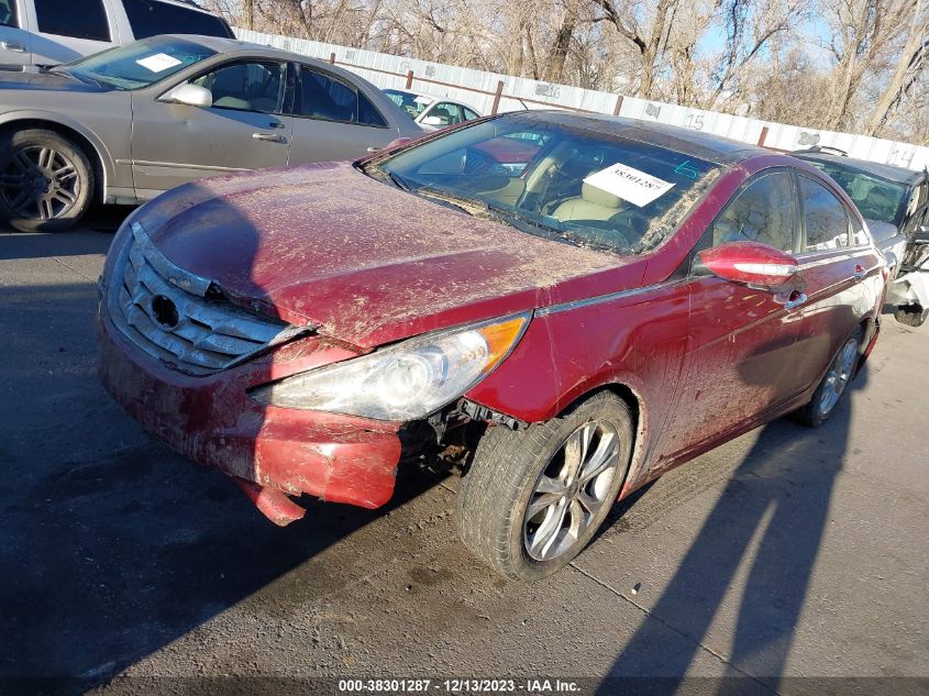 2013 HYUNDAI SONATA LIMITED - 5NPEC4AC7DH624173