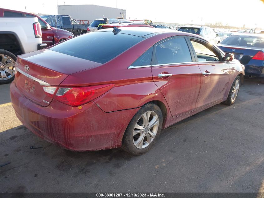 2013 HYUNDAI SONATA LIMITED - 5NPEC4AC7DH624173