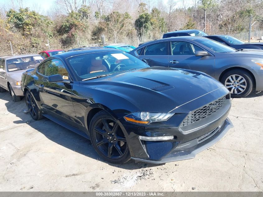 2019 FORD MUSTANG - 1FA6P8TH7K5203758