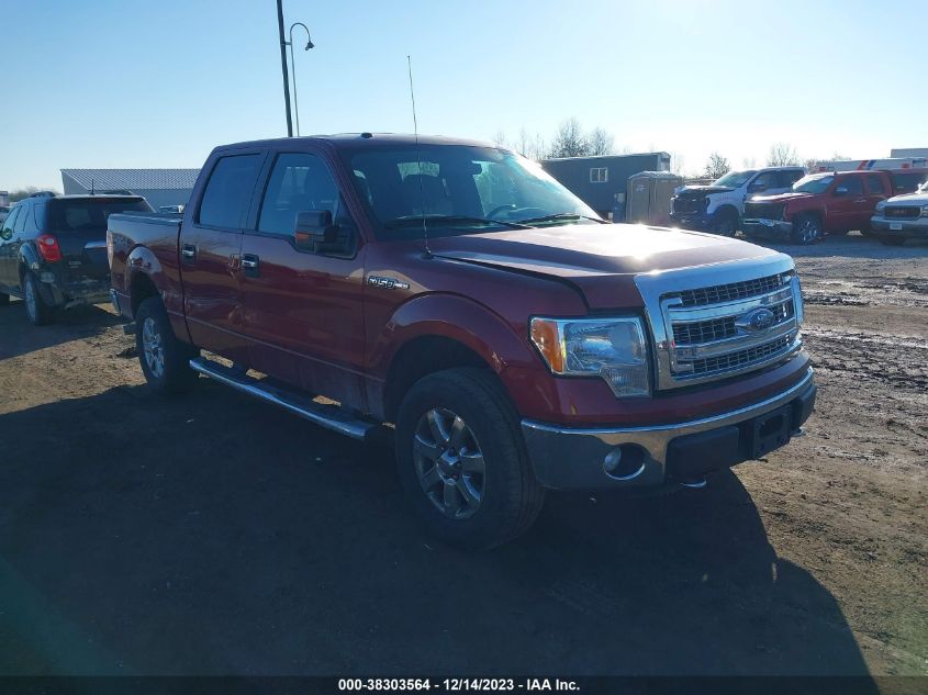 2013 FORD F-150 XLT - 1FTFW1EF9DKE87897