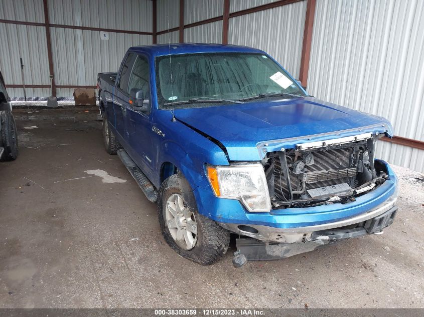 2013 FORD F-150 XLT - 1FTFX1ETXDKF72752