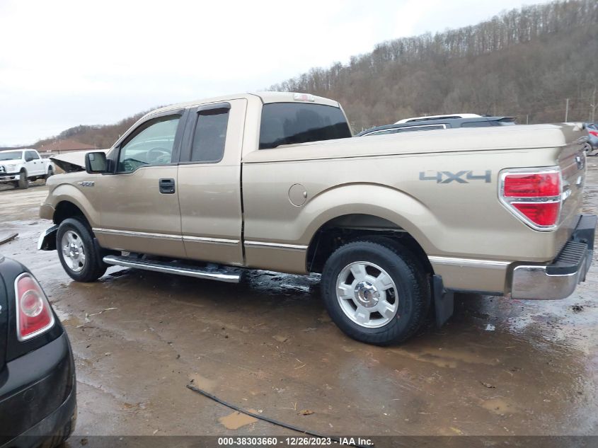 2014 FORD F-150 XLT - 1FTFX1EF0EFB38876