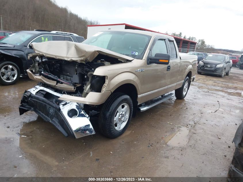 2014 FORD F-150 XLT - 1FTFX1EF0EFB38876