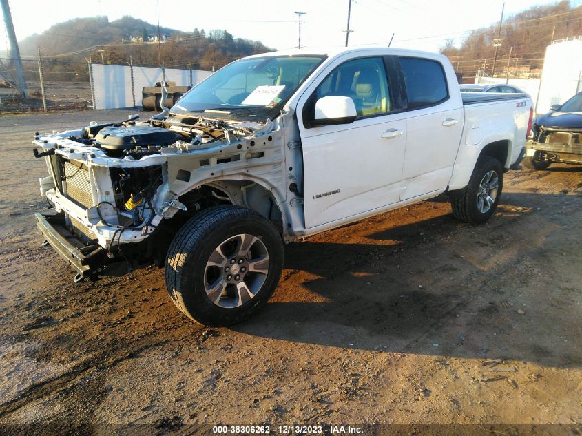 1GCGTDEN8K1100183 | 2019 CHEVROLET COLORADO