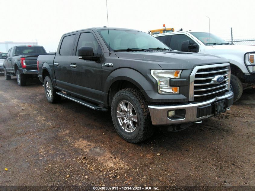 2016 FORD F-150 XLT - 1FTEW1EF3GKE93372