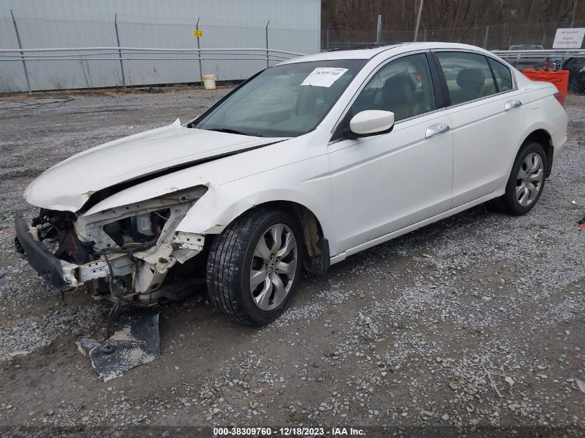 1HGCP36849A030540 | 2009 HONDA ACCORD