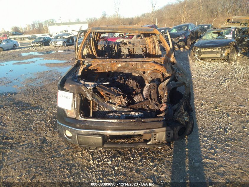 2013 FORD F-150 XLT - 1FTFW1ET9DFC86449