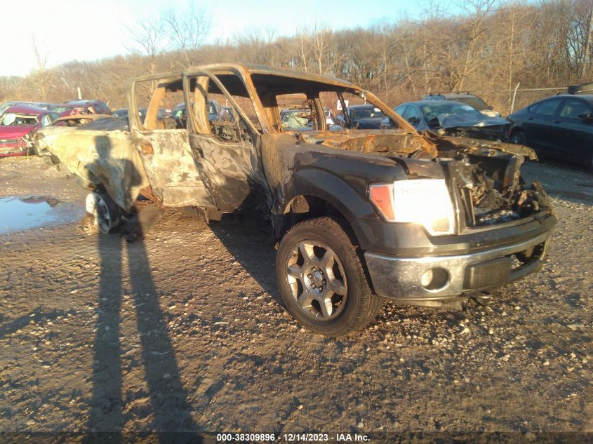 2013 FORD F-150 XLT - 1FTFW1ET9DFC86449