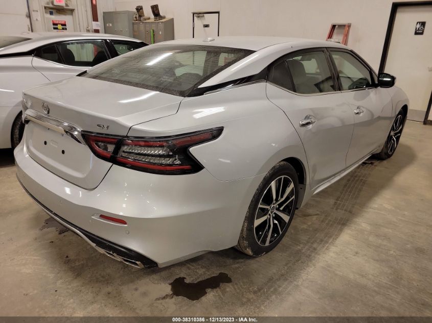 VIN 1N4AA6CV2PC511977 2023 NISSAN MAXIMA SV