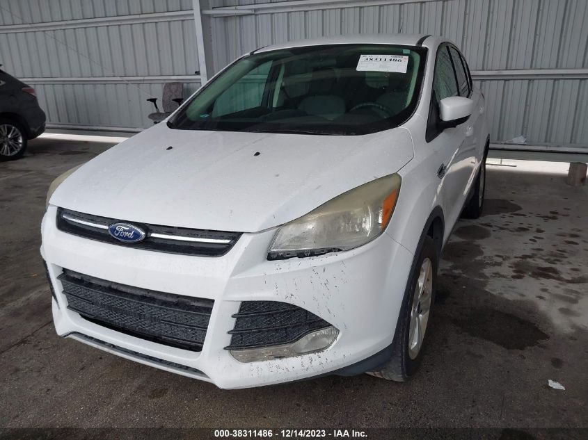 2014 FORD ESCAPE SE - 1FMCU9GX0EUE28428