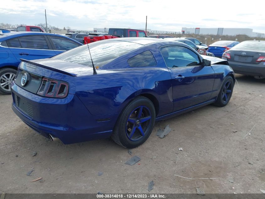2014 FORD MUSTANG V6 - 1ZVBP8AM6E5280972