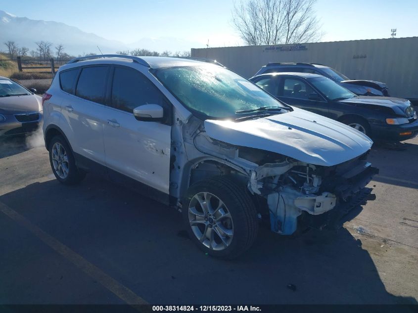 2014 FORD ESCAPE TITANIUM - 1FMCU9JX8EUC29314