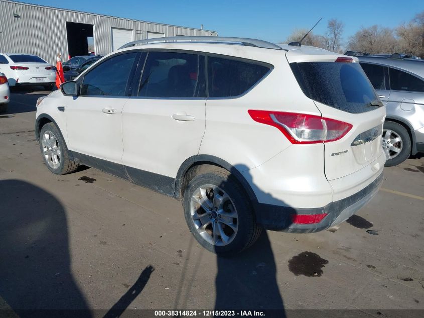 2014 FORD ESCAPE TITANIUM - 1FMCU9JX8EUC29314