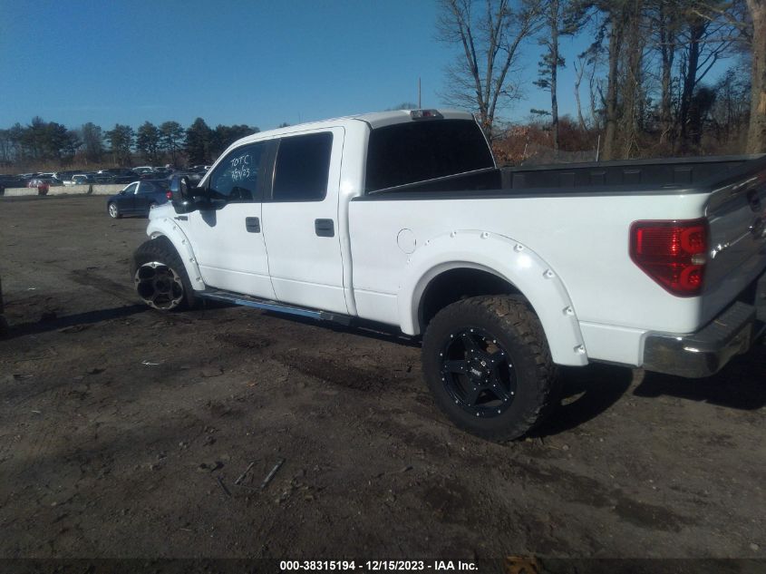 2013 FORD F-150 XLT - 1FTFW1EF6DFC21813
