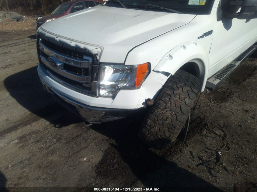 2013 FORD F-150 XLT - 1FTFW1EF6DFC21813