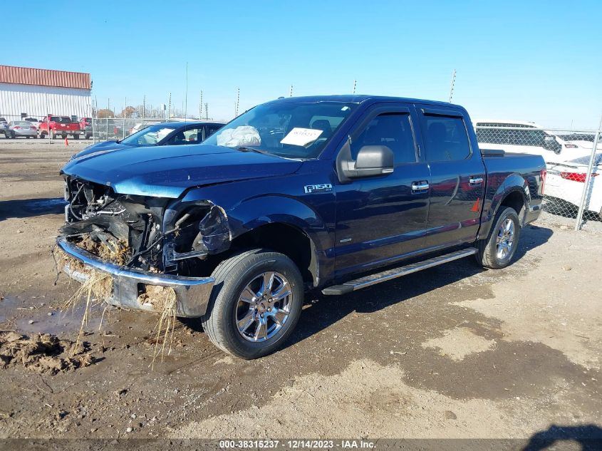 2015 FORD F-150 XLT - 1FTEW1CP3FKE80437