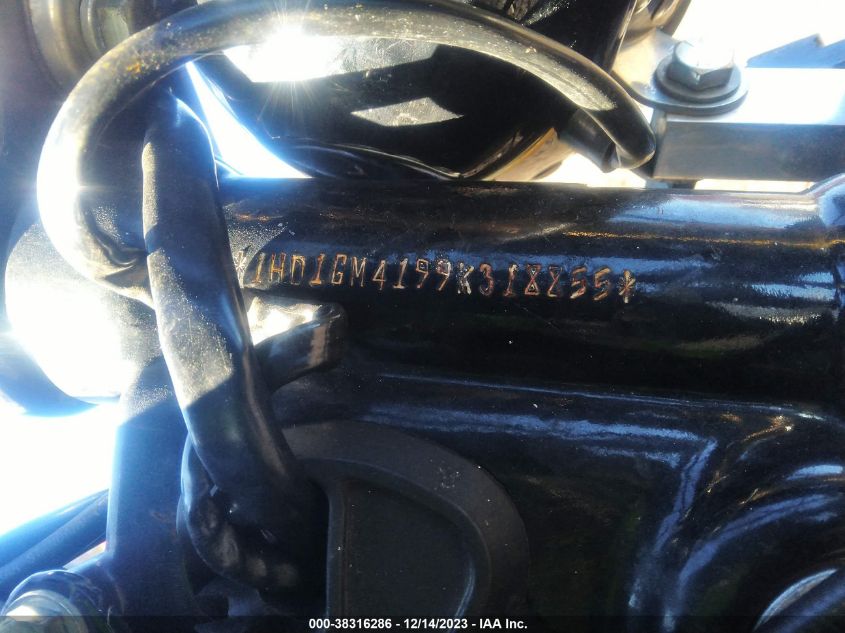 2009 HARLEY-DAVIDSON FXD 1HD1GM4199K318855