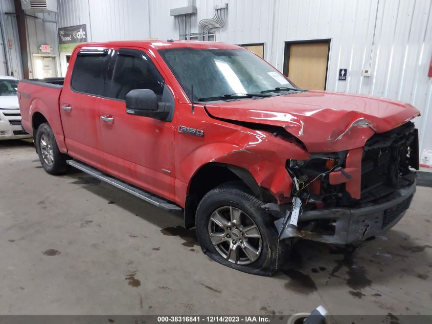 2016 FORD F-150 XLT - 1FTEW1EG4GKD56238