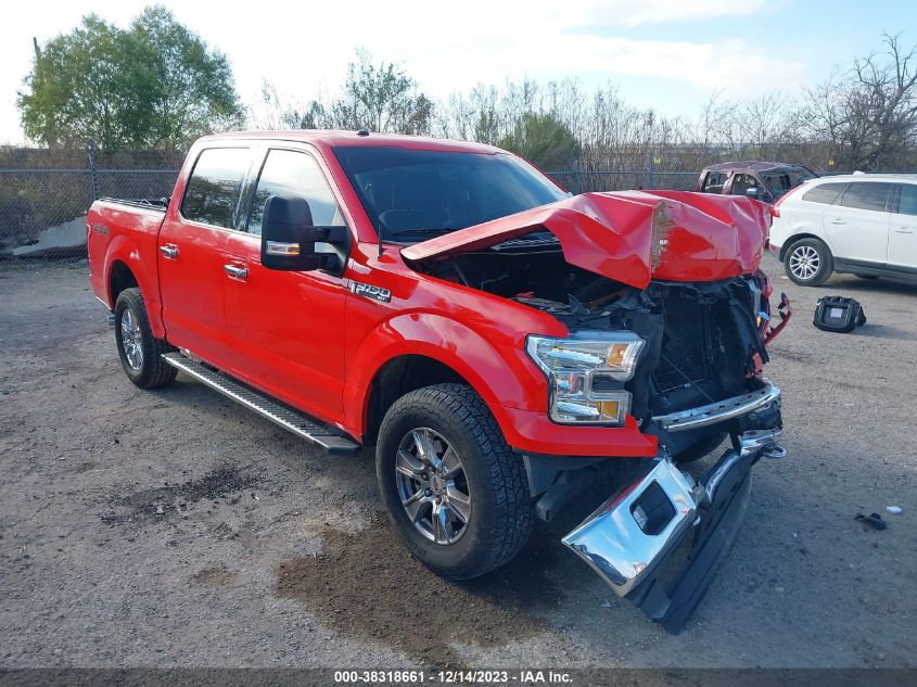 2016 FORD F-150 XLT - 1FTEW1E88GKF17411