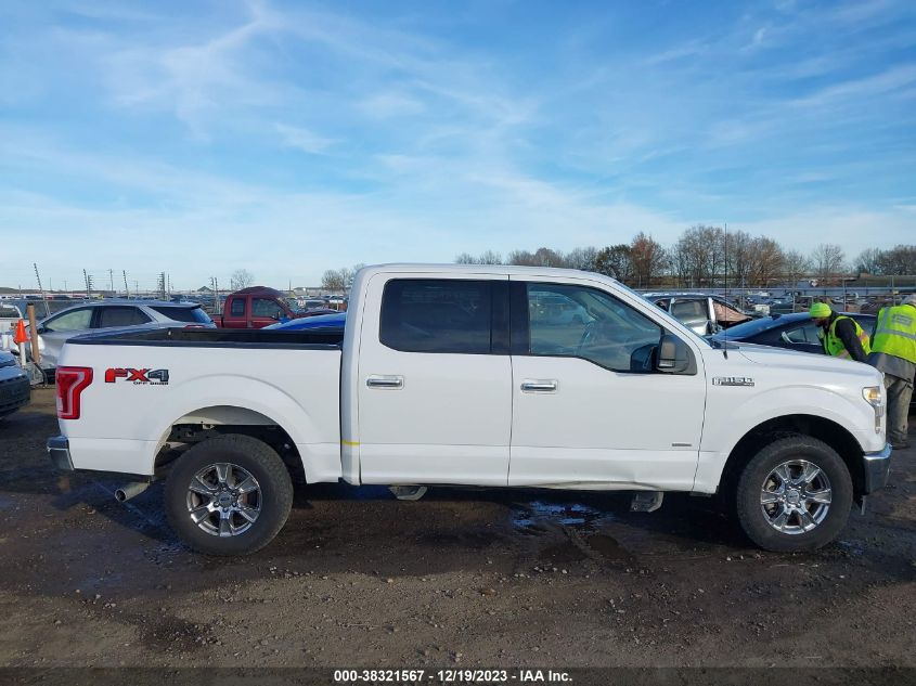 2017 FORD F-150 XLT - 1FTEW1EG3HKD30389