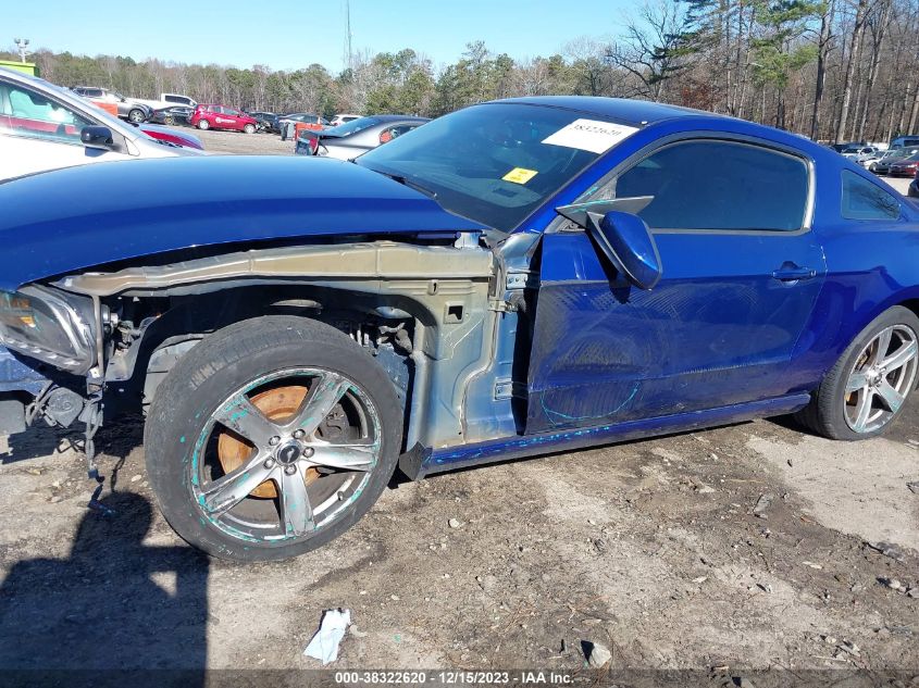 2013 FORD MUSTANG V6 - 1ZVBP8AM1D5258652