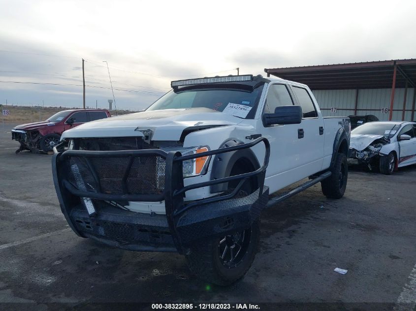 2013 FORD F-150 XL - 1FTFW1EF8DKF11154