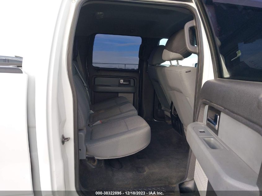 2013 FORD F-150 XL - 1FTFW1EF8DKF11154