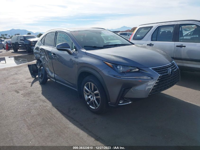 2021 LEXUS NX 300H - JTJGJRDZ5M2157703