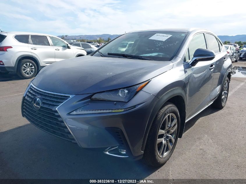 2021 LEXUS NX 300H JTJGJRDZ5M2157703