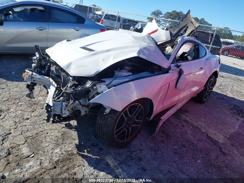 2019 FORD MUSTANG - 1FA6P8TH2K5201951