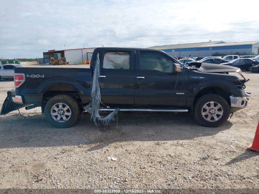 2014 FORD F-150 XLT - 1FTFW1ET1EKG18019