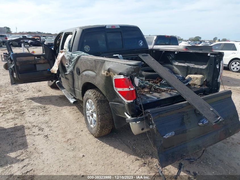 2014 FORD F-150 XLT - 1FTFW1ET1EKG18019