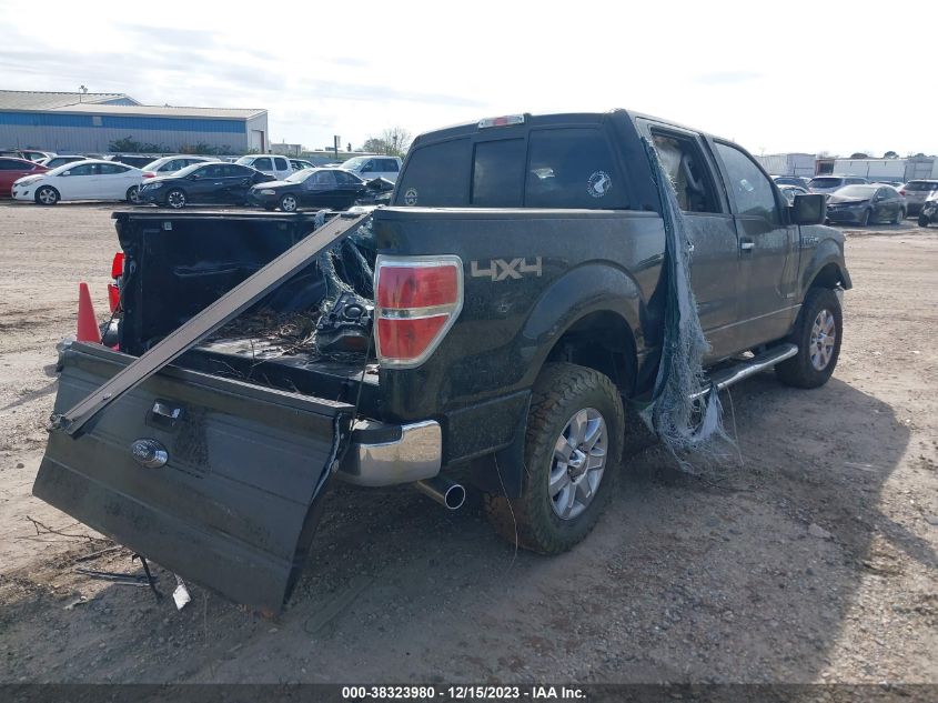 2014 FORD F-150 XLT - 1FTFW1ET1EKG18019